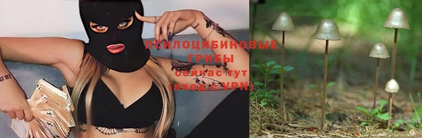 стафф Армянск