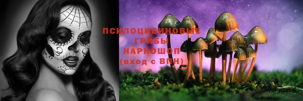 индика Новокубанск