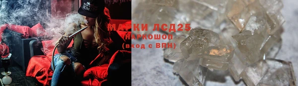 спиды Новодвинск