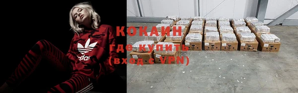 дживик Алексин