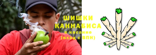 первитин Новозыбков