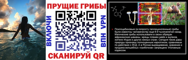 Галлюциногенные грибы ЛСД Богданович
